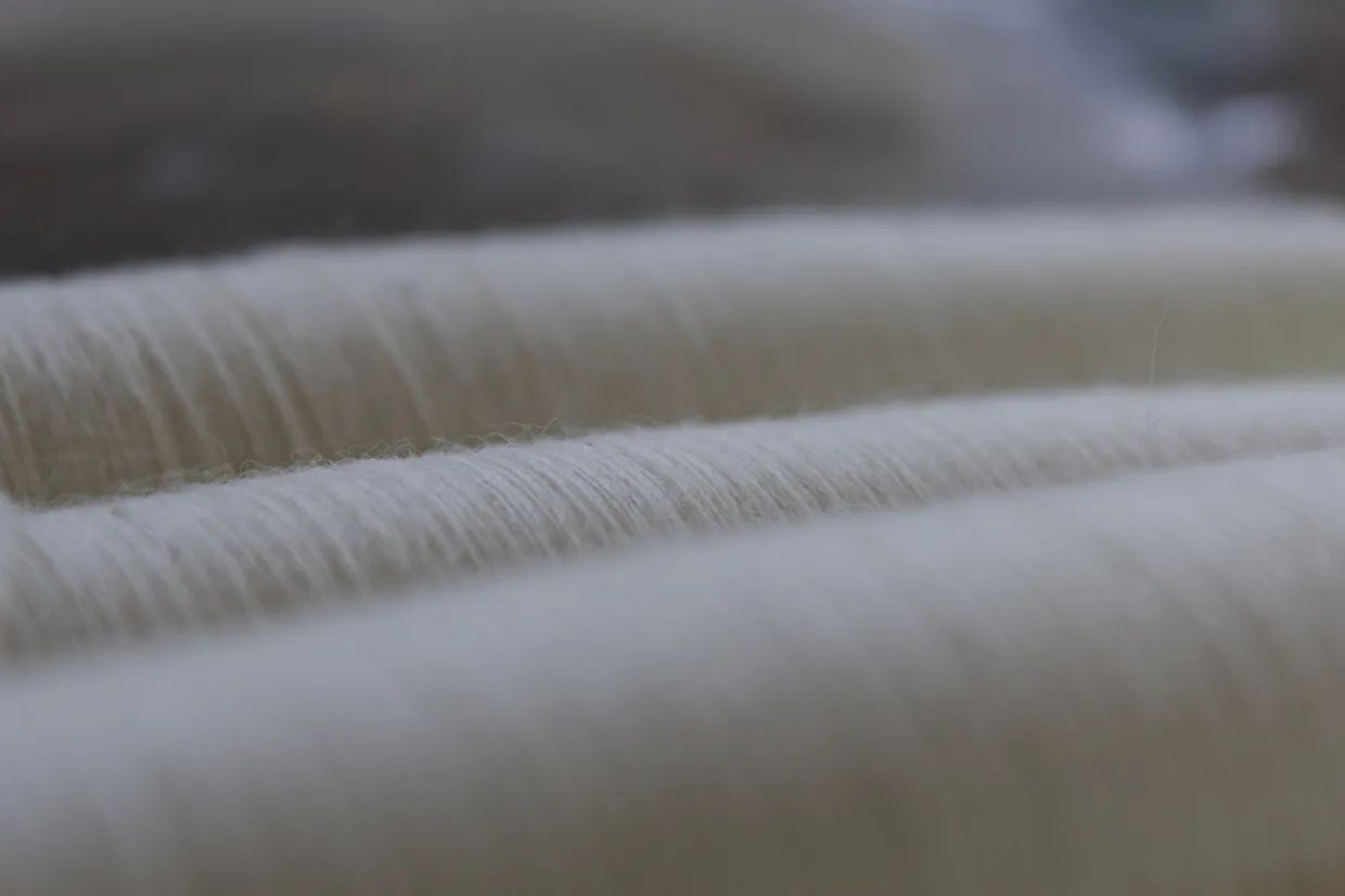 Combed wool tops